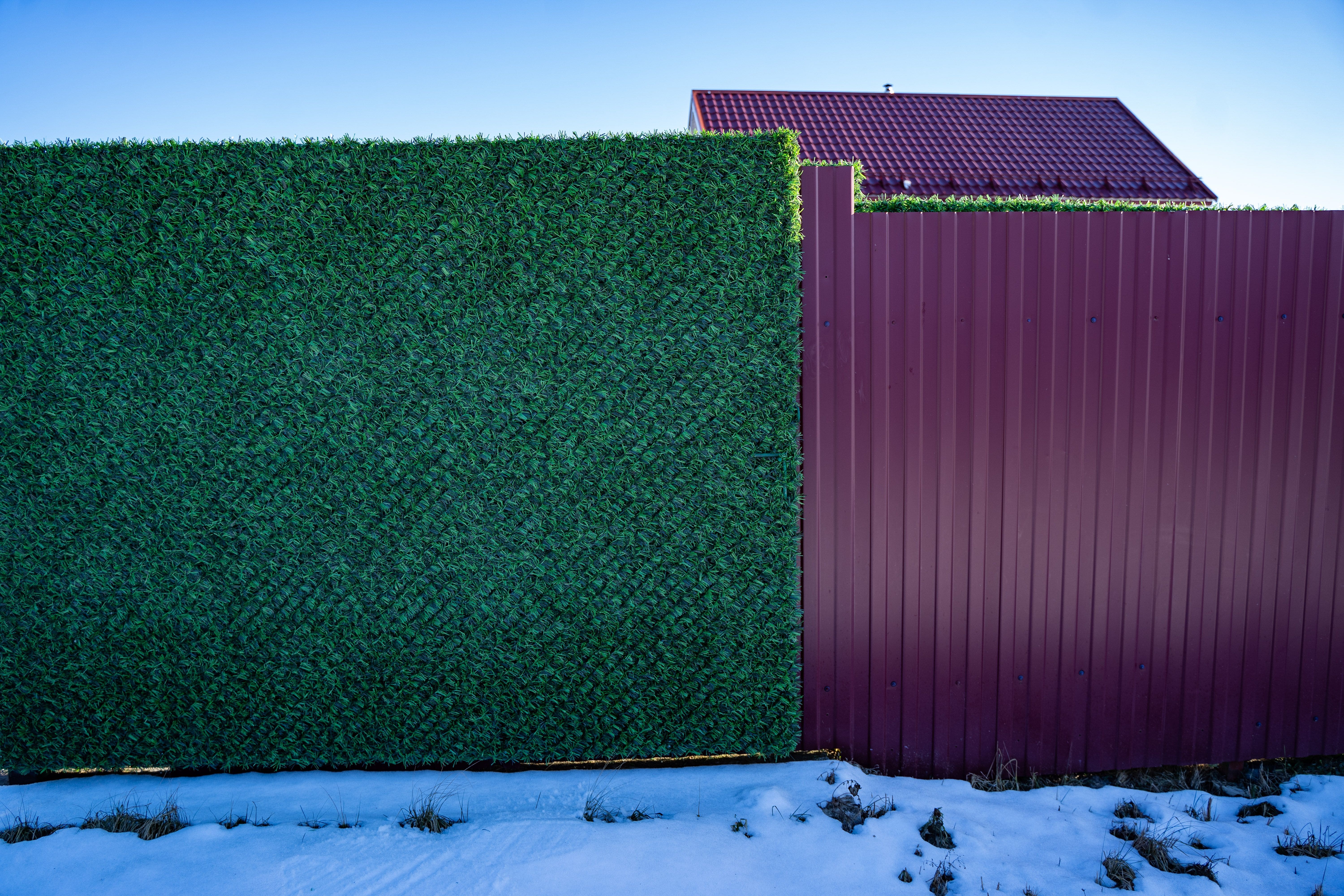 Вечнозеленый забор Grass Fence рулон 2м фото 2 в Саратове